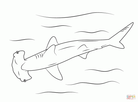 Hammerhead shark coloring pages | Free Coloring Pages