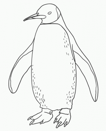 Printable Penguin Coloring Pages | Free Coloring Pages