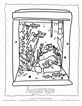 Marine Aquarium Coloring Pages, Aquarium Coloring Pages Tropical Fish