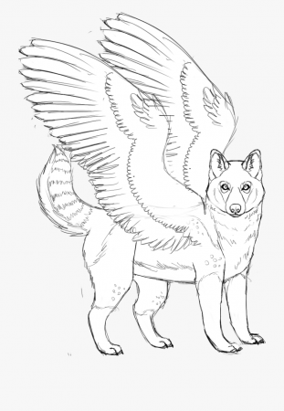 Husky Coloring Pages - Coloring Pictures Of Husky , Transparent ...