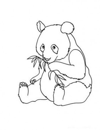 Disney Coloring Pages: Cute Baby Panda Coloring Pages for Kids