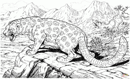Clouded Leopard Coloring Pages To Print - Coloring Pages For All Ages