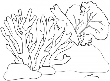 Kids-n-fun.com | Coloring page Coral coral reef 2