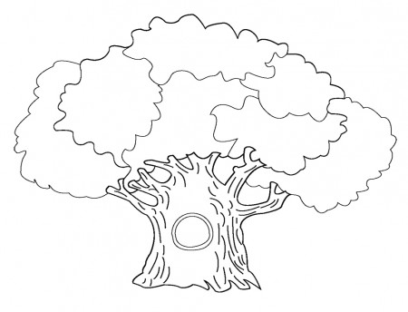 Tree #154688 (Nature) – Printable coloring pages