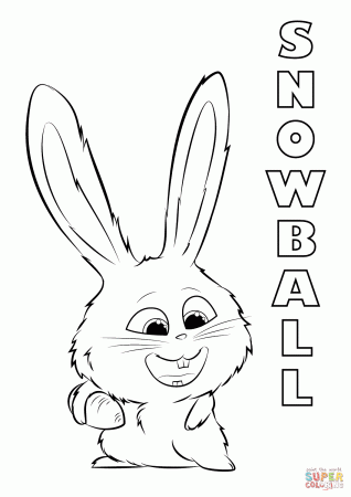 Snowball from the Secret Life of Pets coloring page | Free Printable Coloring  Pages