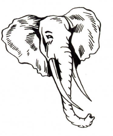 Elephant Face Coloring Page
