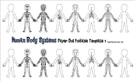 Body System Outline Coloring Pages - Coloring Pages For All Ages