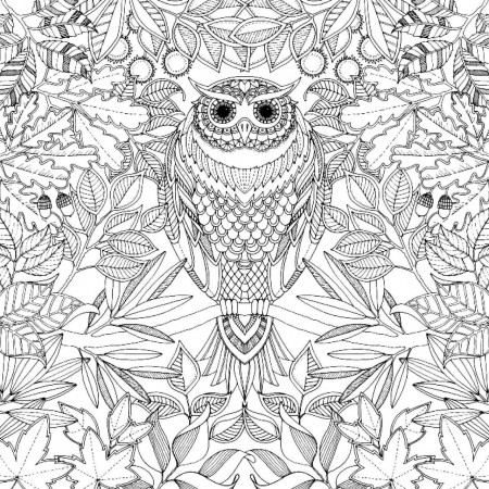 Coffee Table : Secret Garden Coloring Book Owl Complex Pages ...