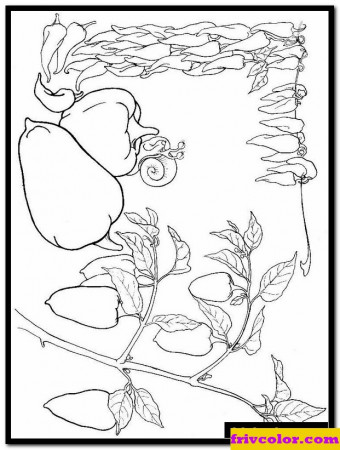 Pepper Coloring Pages - Friv Free Coloring Pages