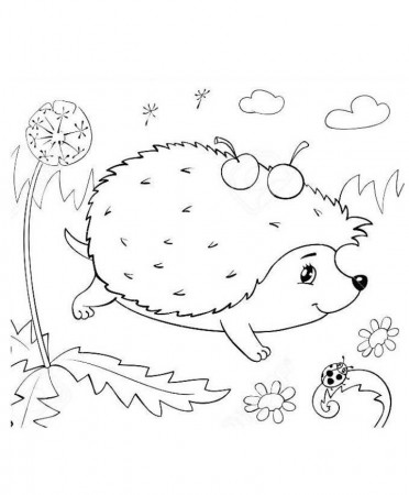 Hedgehog Coloring Pages for Children. 100 Images. Print Them Online!