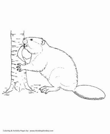 Wild Animal Coloring Pages | Beaver cutting down a tree Coloring Page and  Kids Activity sheet | HonkingDonkey