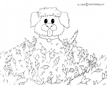 Free Printable Fall Coloring Pages Activities Blog Hagio Graphic 