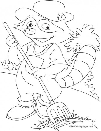 Canadian raccoon coloring pages | Download Free Canadian raccoon 