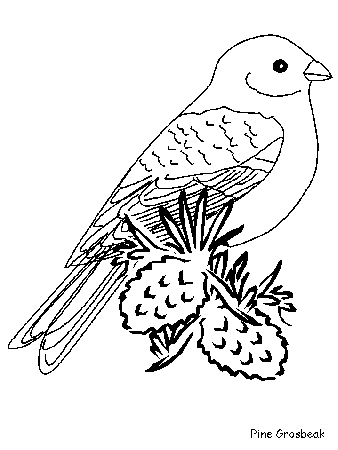 Printable Birds Pinegrosbeak Animals Coloring Pages 