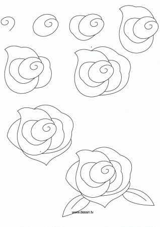 how to draw flowers | learn how to draw a rose with simple step by 
