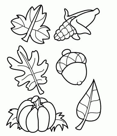 Leaves Coloring Pages of Autumn Season | Coloring