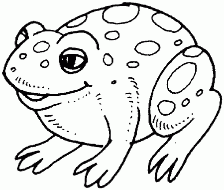 frog outline Colouring Pages