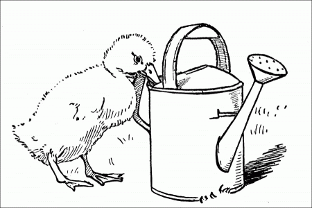 Ducklings Coloring Pages To Print