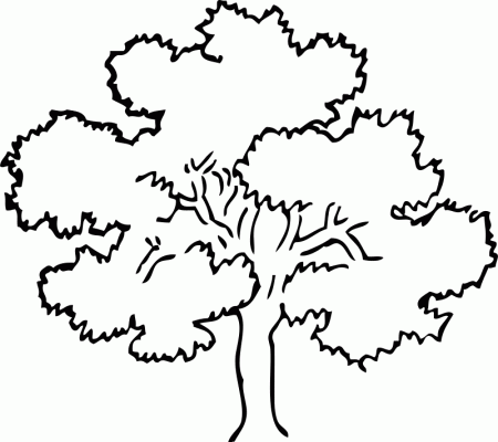 forest tree coloring pages for kids | Great Coloring Pages
