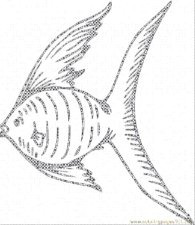 Coloring Pages Angelfish 1 (Animals > Fishes) - free printable 