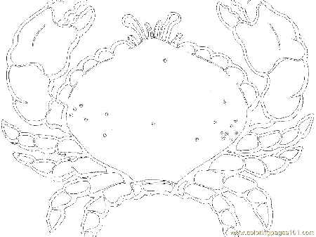 Coloring Pages Lobster (Natural World > Oceans) - free printable 