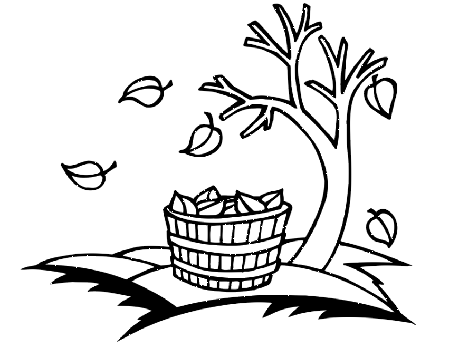 Autumn Coloring Page | Bare Autumn Tree