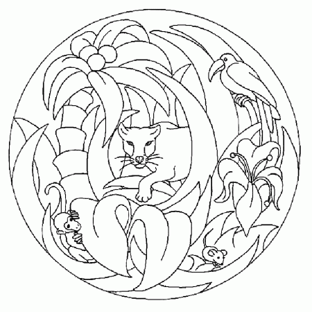 Animal-mandala-coloring-pages |coloring pages for adults,coloring 