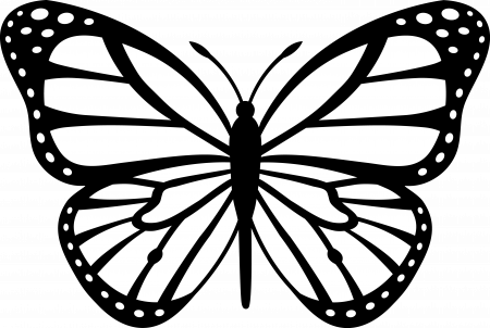 Butterfly Outline