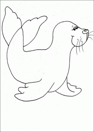 Seal Coloring Page