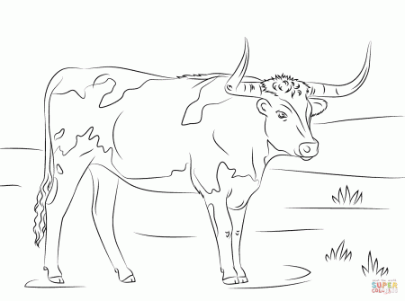 Longhorn coloring page | Free Printable Coloring Pages