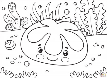 Sanddollar coloring page | Free Printable Coloring Pages