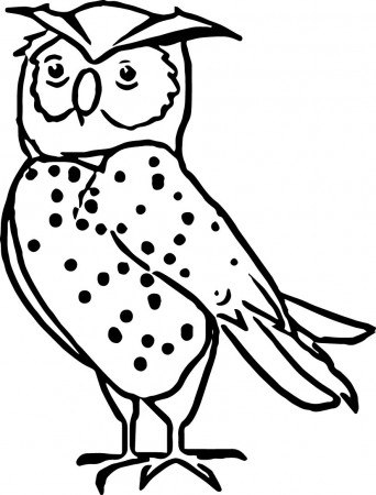 Nocturnal Animals Coloring Pages | Wecoloringpage