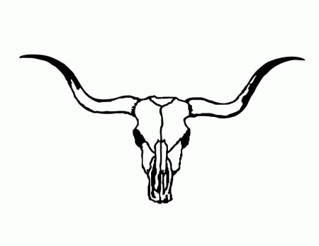 Longhorn Cattle Clipart - Clipart Kid