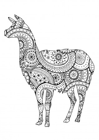 Coloring Pages : 47 Llama Coloring Page Image Inspirations Donkey Coloring  Page For Kids‚ Donkey Face Coloring Page‚ Cartoon Llama Coloring Page also  Coloring Pagess