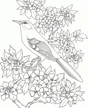 Free Printable Coloring Page Arkansas State Bird And Flower ...
