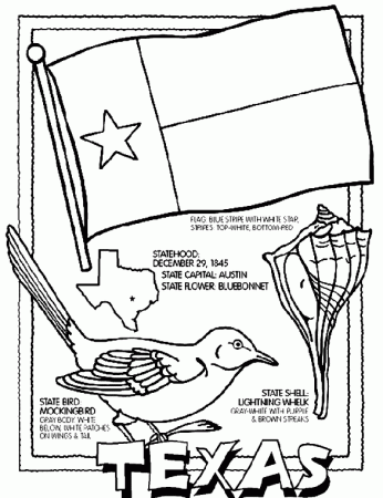 Texas State Flag and Symbols Coloring Page