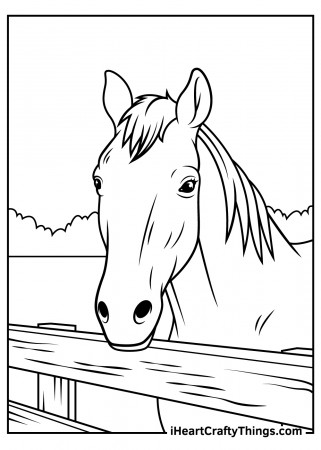 Realistic Horse Coloring Pages (Updated 2022)