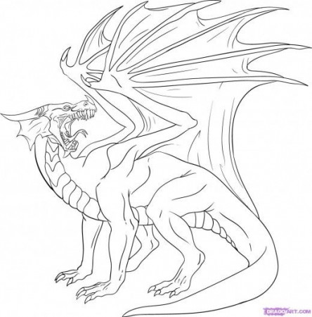 Realistic Dragon Coloring Pages | Dragon coloring page, Dragon drawing, Realistic  dragon