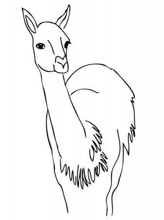 Coloring pages: Coloring pages: Guanaco, printable for kids & adults, free
