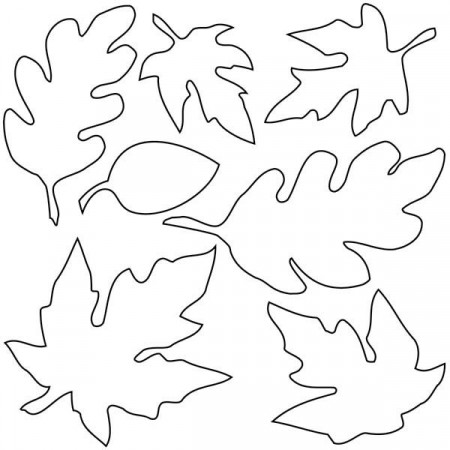 Various Type of Maple Leaf Coloring Page | dolig | Pinterest ...