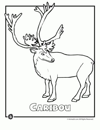 Endangered Animals Coloring Pages: Animals from North America, the ...