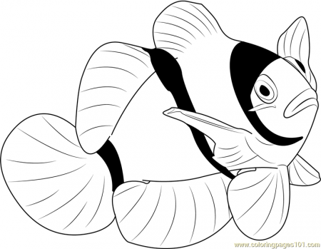 Fishes Coloring Pages - 310 Fishes printable pages and coloring sheets