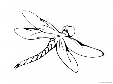 Black and White Dragonfly Coloring Pages drawing dragonfly car Printable  Coloring4free - Coloring4Free.com