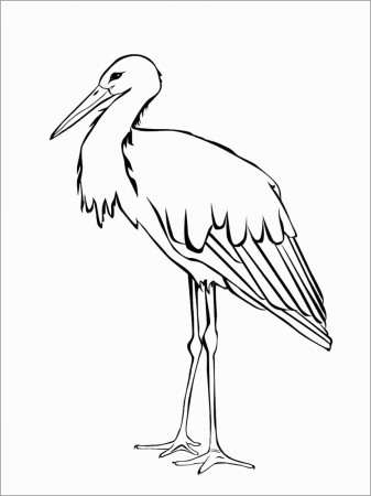 Stork Coloring Pages - ColoringBaycoloringbay.com