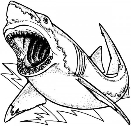 Drawing Jaws Coloring Pages : Best Place to Color