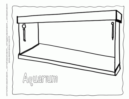 Blank Aquarium Coloring Pages Free, Outline Drawing of Aquarium ...