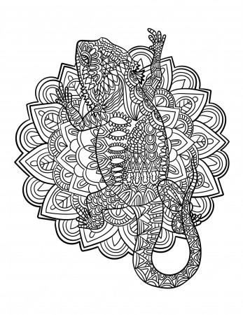 Premium Vector | Bearded dragon mandala coloring pages for adults