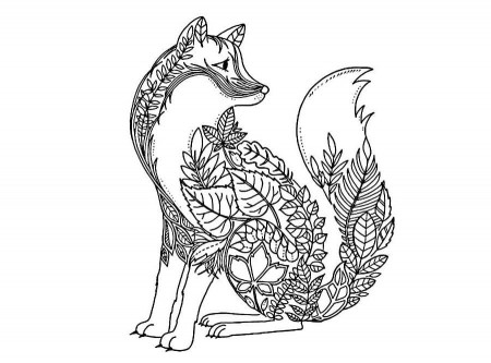 Fox coloring pages. Print for free. For girls and boys
