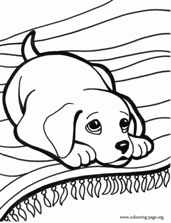 Puppy Coloring Page | Coloring Pages