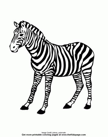 Zebra - Free Coloring Pages for Kids - Printable Colouring Sheets